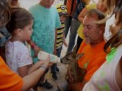 bambi-a-biberon-original_2