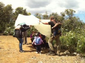 El baile de la abeja